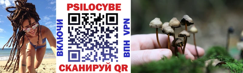 Галлюциногенные грибы мухоморы  где продают   площадка какой сайт  Родники 